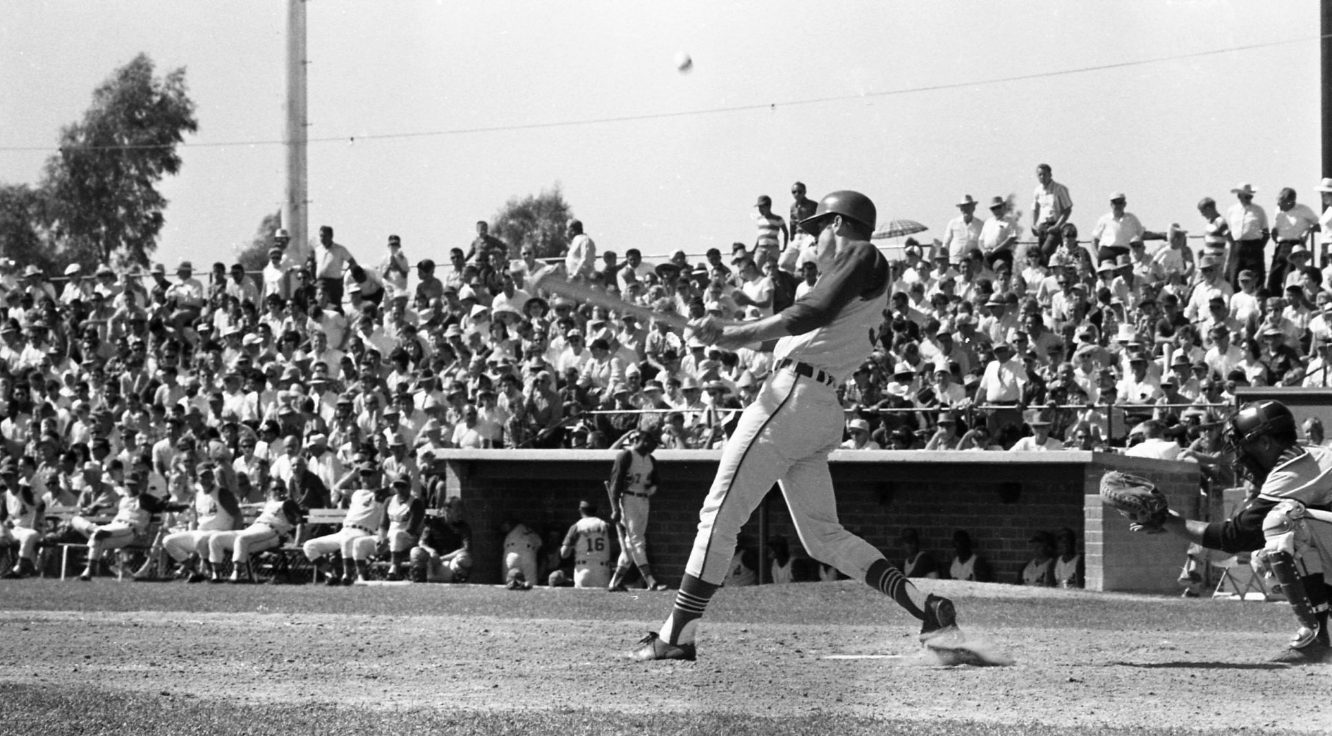 Cleveland Indians in Tucson